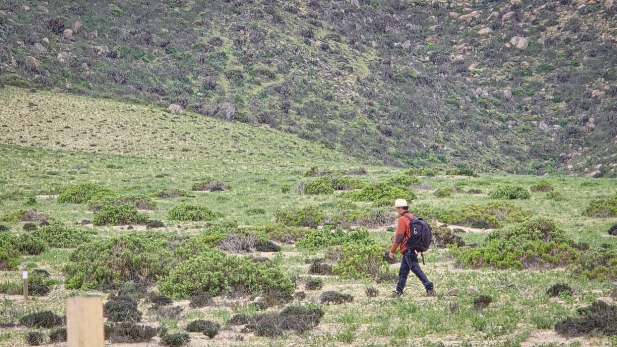 /con-gran-exito-se-lanzo-el-desierto-florido-2025-en-atacama