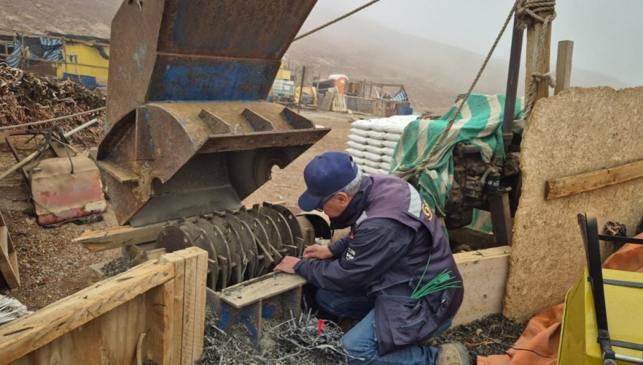 /sernapesca-antofagasta-ejecuta-sancion-contra-planta-de-huiro-negro-en