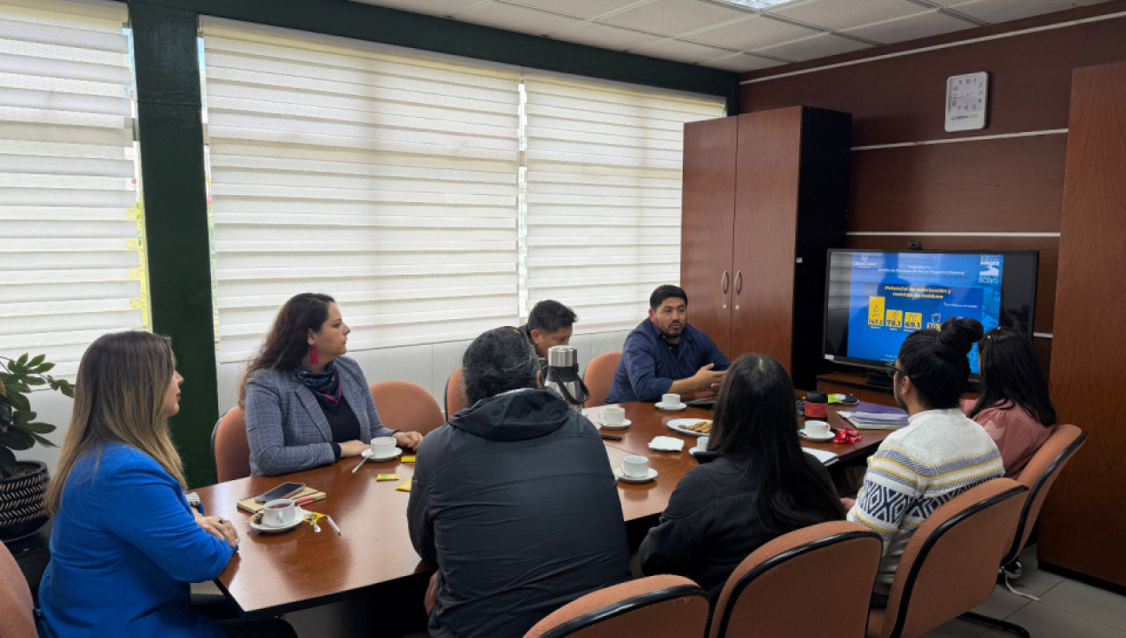 /profesionales-de-la-municipalidad-de-tirua-participa-en-reunion-sobre