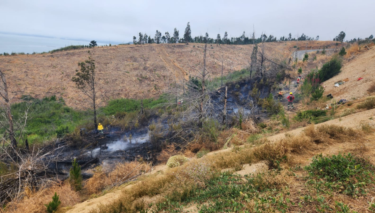 /detencion-por-incendio-registrado-en-el-sector-punta-lavapie-comuna-de