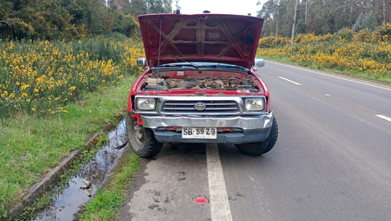 /fiscalizacion-en-zona-rural-deja-dos-detenidos-y-permite-recuperar