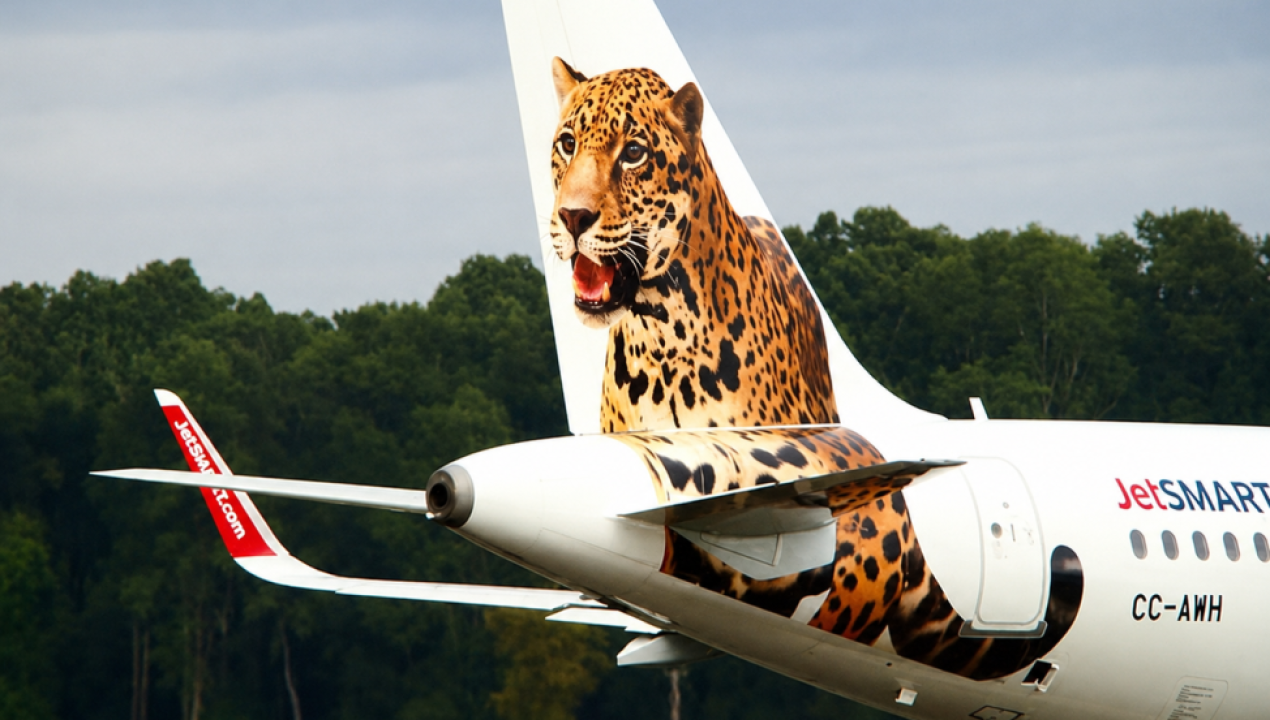 /puerto-montt/vuelos-directos-concepcion-puerto-montt-regresan-en-diciembre-jetsmart