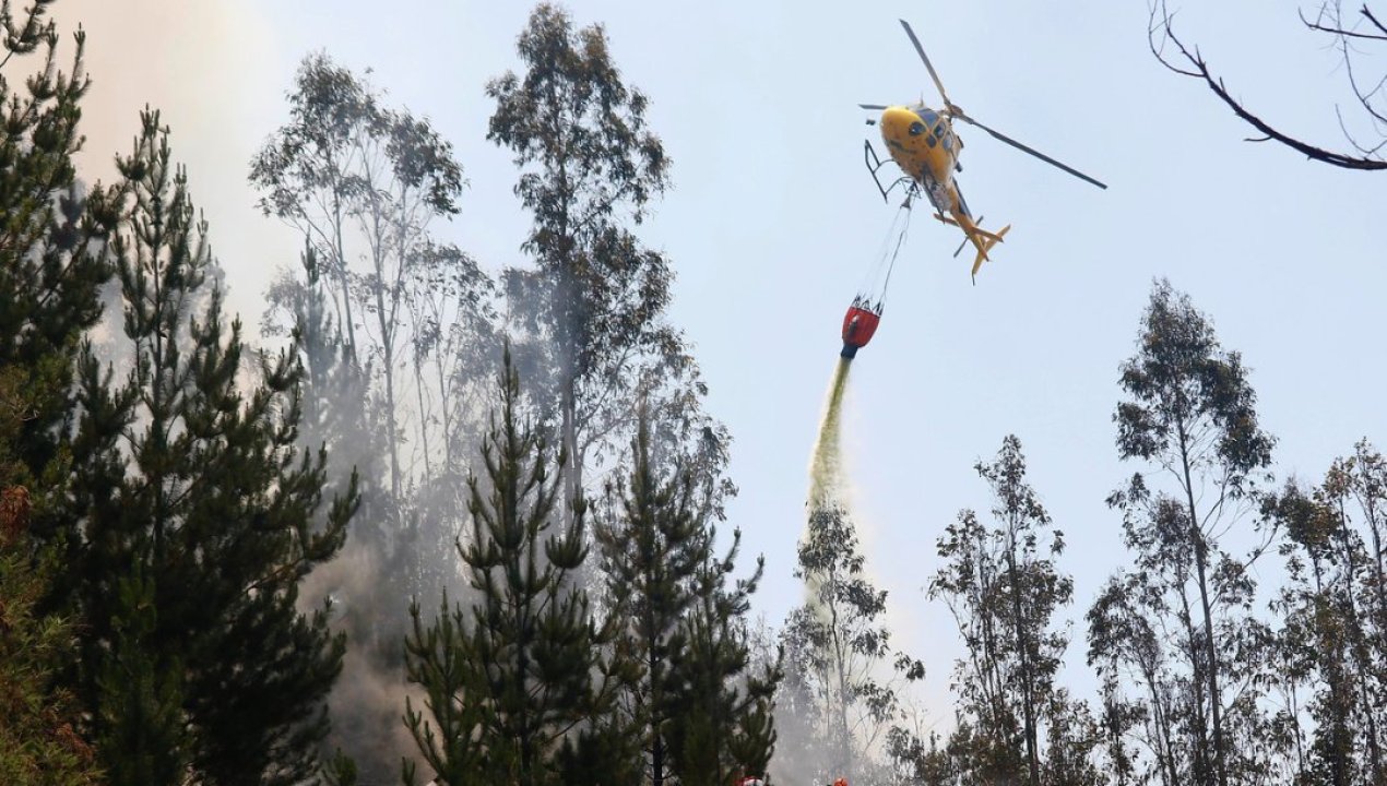 /actualidad/desastres-naturales/incendios-forestales/incendios-forestales-condenan-a-empresas-de-helicopteros-por-colusion-en