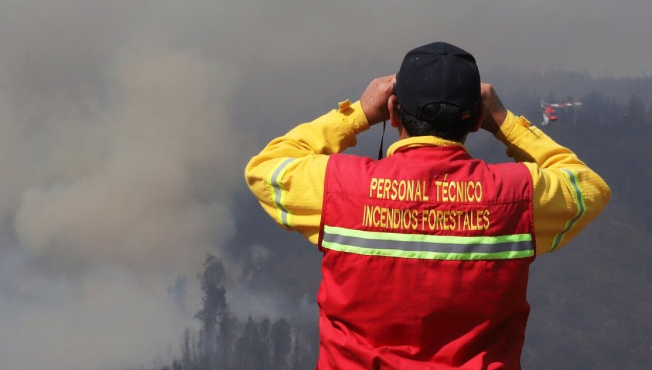 /actualidad/desastres-naturales/incendios-forestales/falencia-institucional-autoridades-apuntan-a-organismos-de-emergencia-en