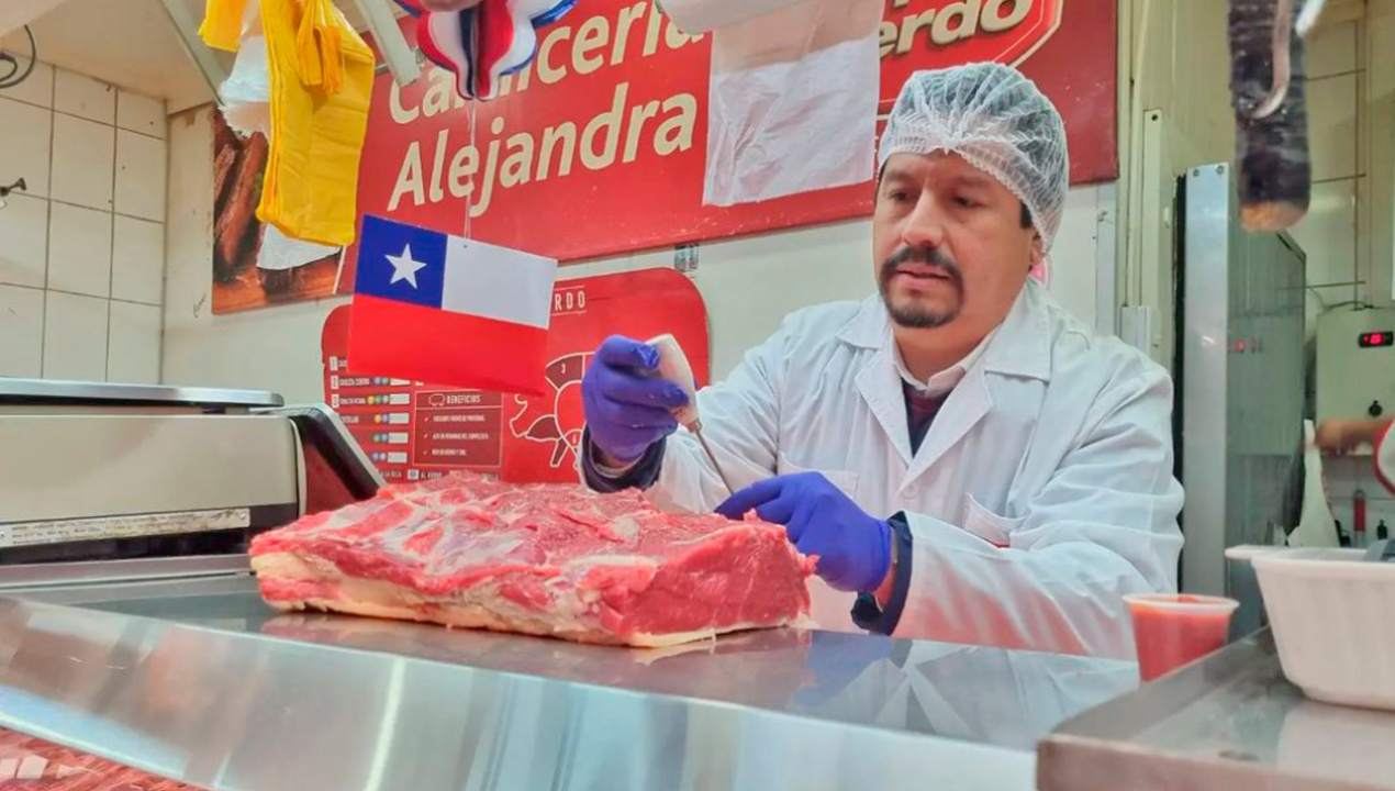 /regionales/region-de-la-araucania/media-tonelada-de-carne-en-mal-estado-es-sacada-de-circulacion-en-la