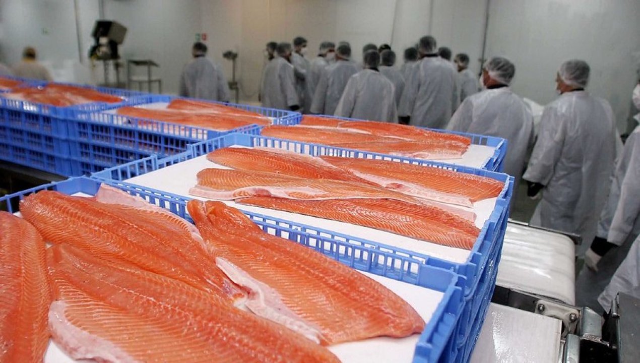 /regionales/region-de-los-lagos/corte-suprema-ratifica-multa-y-suspension-contra-salmonera-trusal-en-los-0