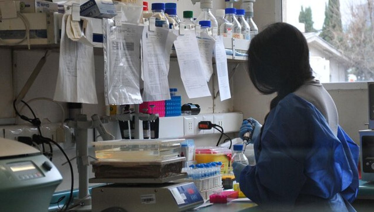 /actualidad/oms-certifica-a-chile-como-pais-libre-de-lepra-tras-mas-de-30-anos-sin