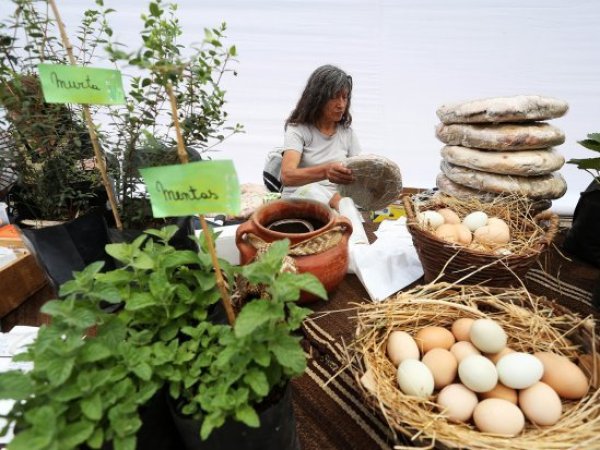 Gobierno pone fin al Programa Mujeres Rurales después de 34 años